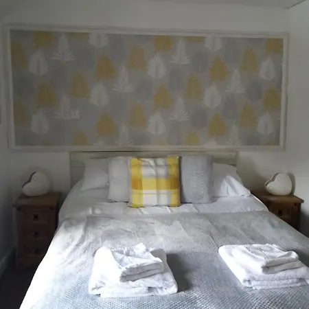 宾馆 斯温赛德酒店 4*